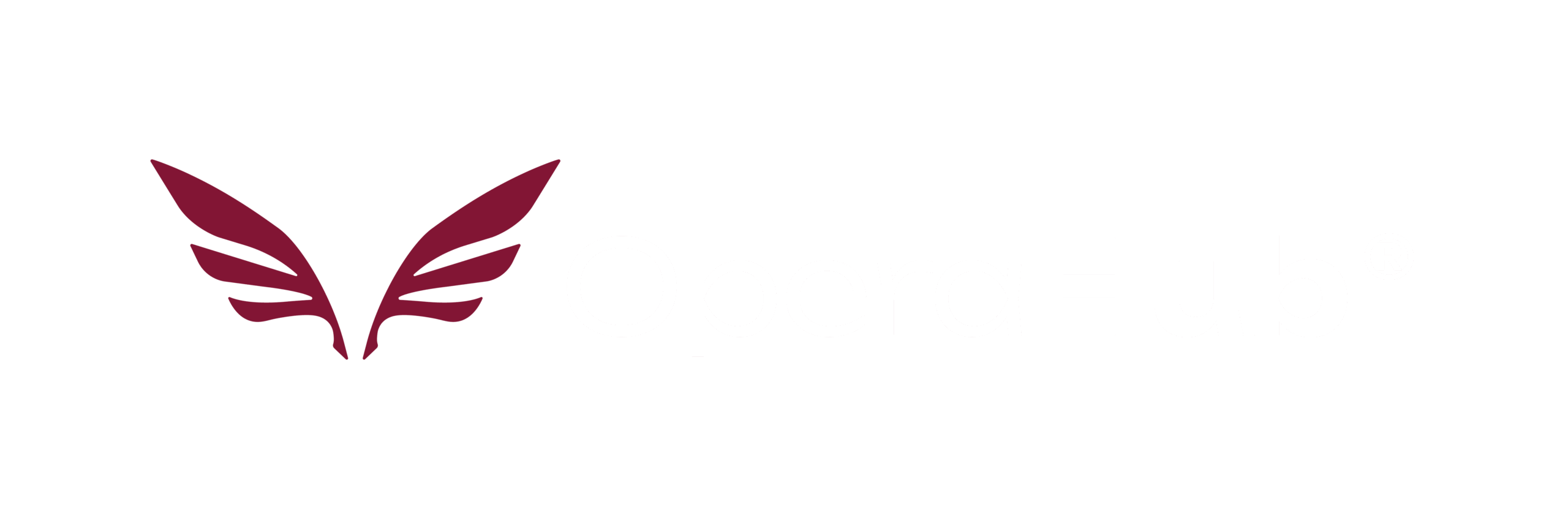 OperaHub_LogoOr_Web_Official Negative@4x